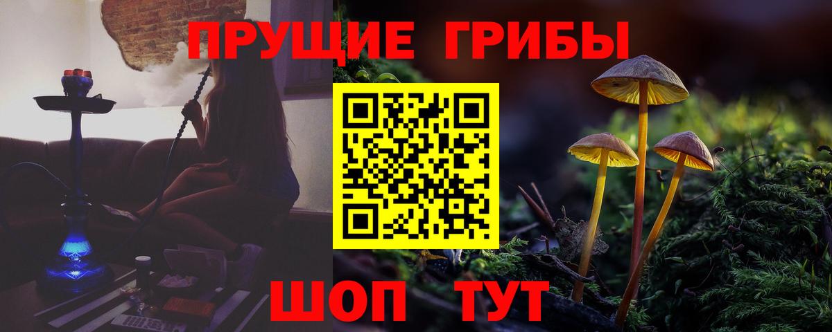 Псилоцибиновые грибы Psilocybine cubensis  Вход с VPN  Псилоцибиновые грибы ЛСД  Тобольск 